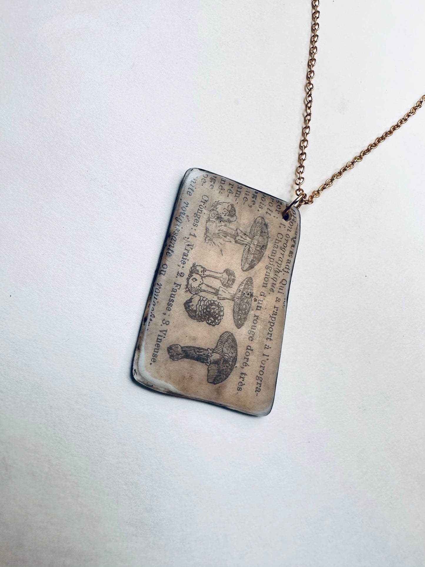 Fungi Codex | Antiqued Botanical Mushroom Pendant