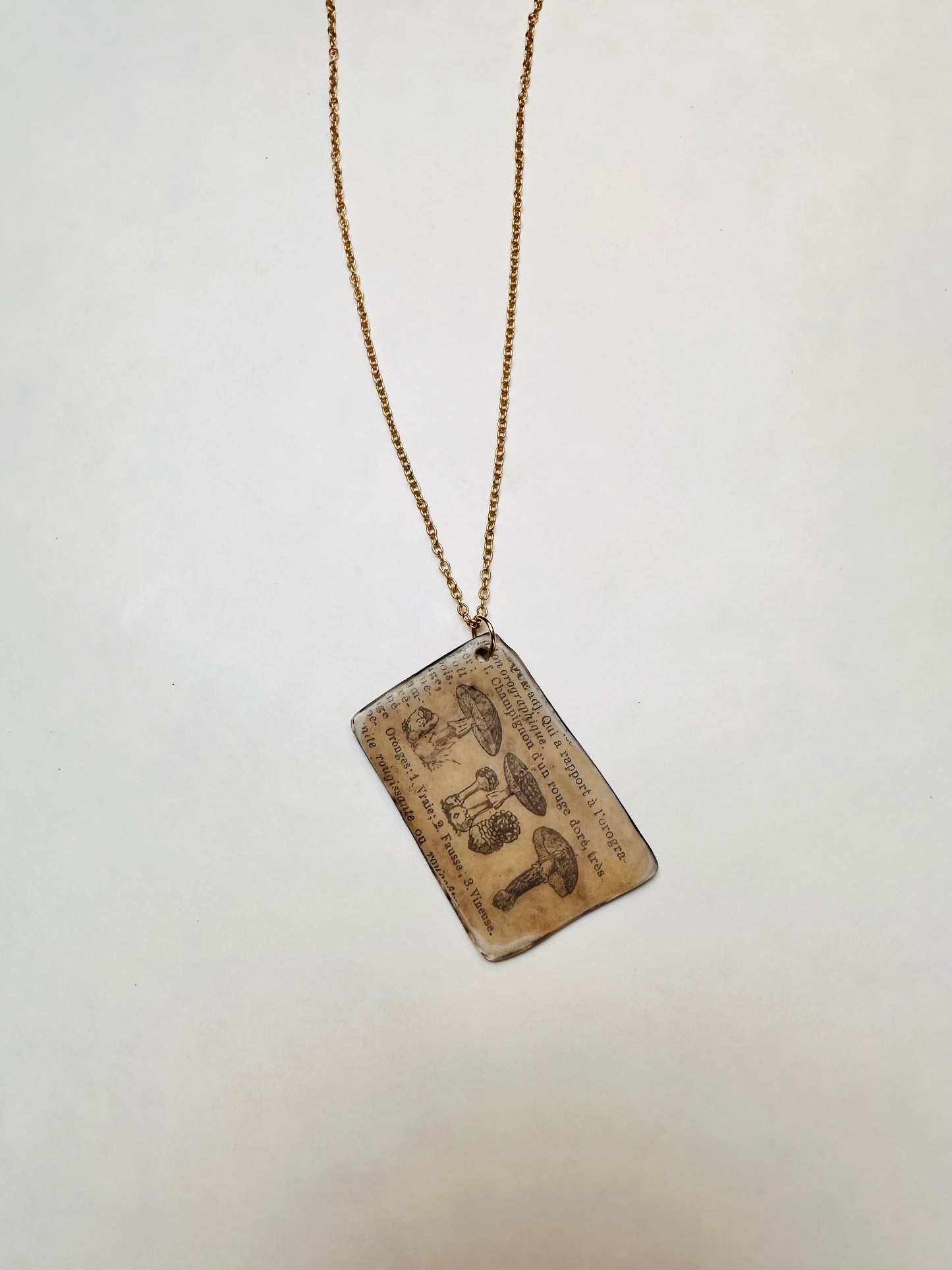 Fungi Codex | Antiqued Botanical Mushroom Pendant