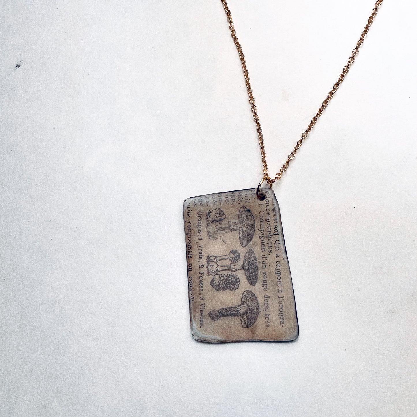 Fungi Codex | Antiqued Botanical Mushroom Pendant