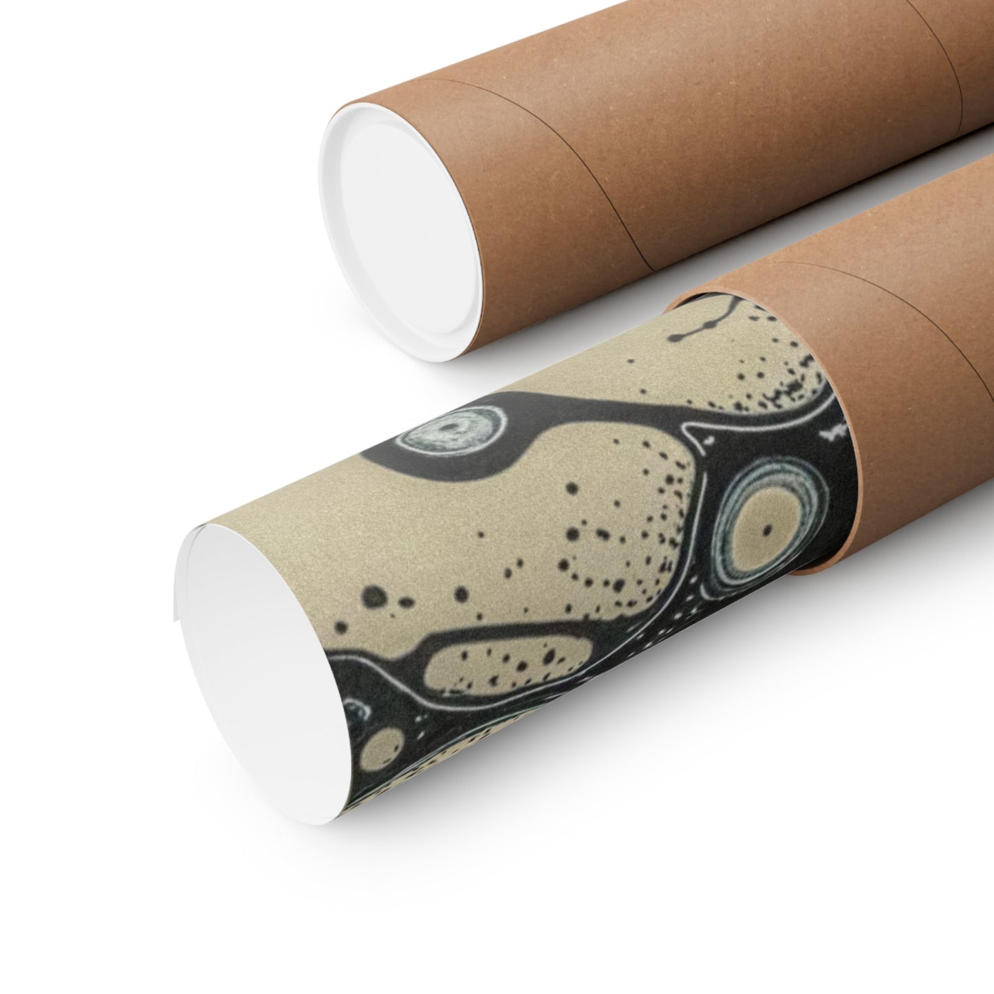 Atomic Anatomy Matte Vertical Posters