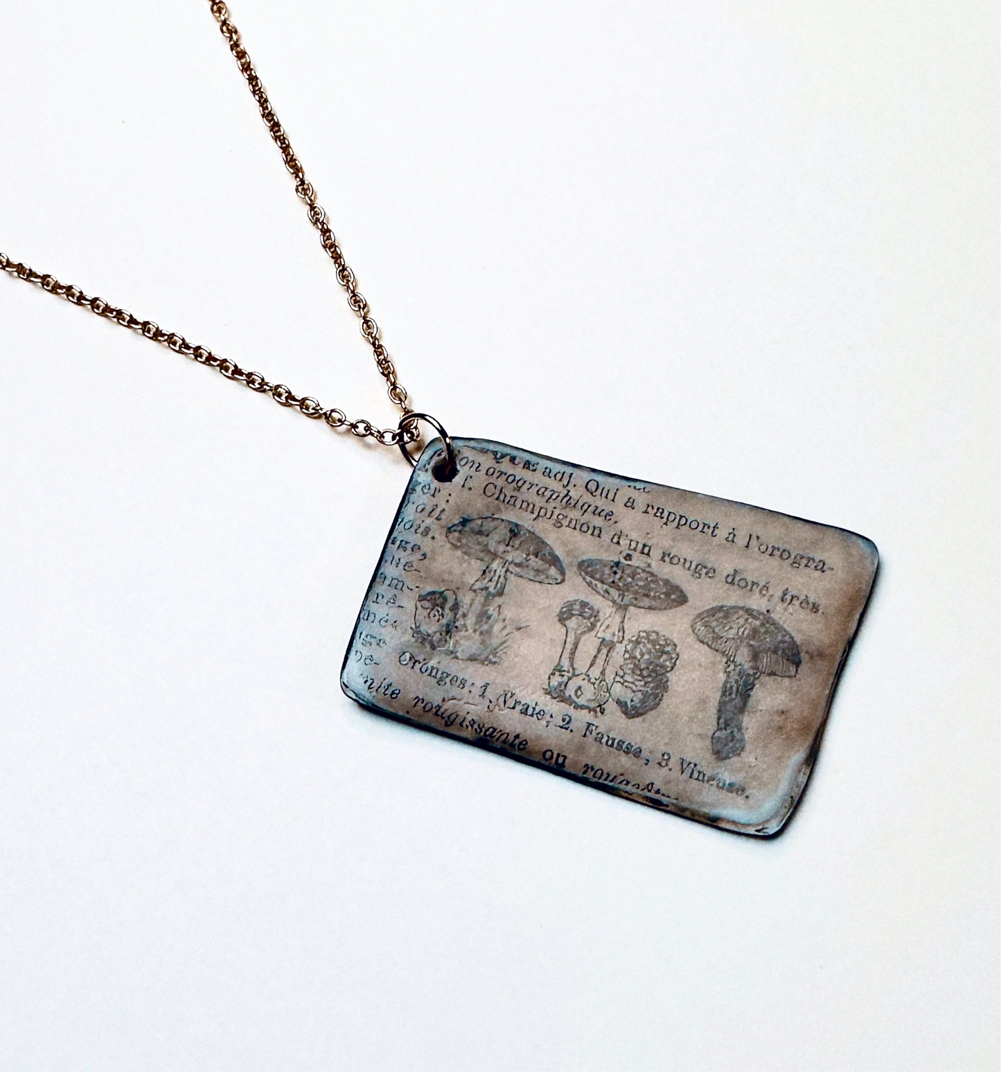 Fungi Codex | Antiqued Botanical Mushroom Pendant