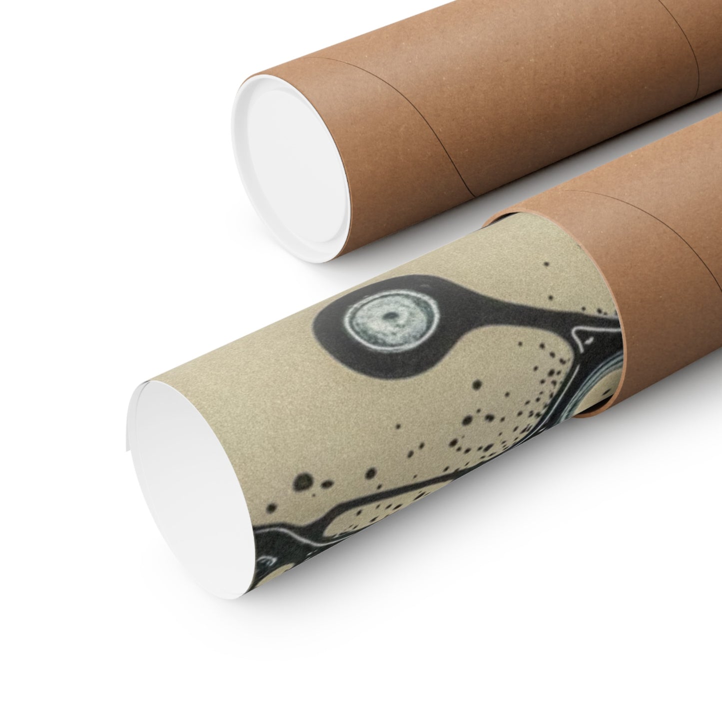 Atomic Anatomy Matte Vertical Posters