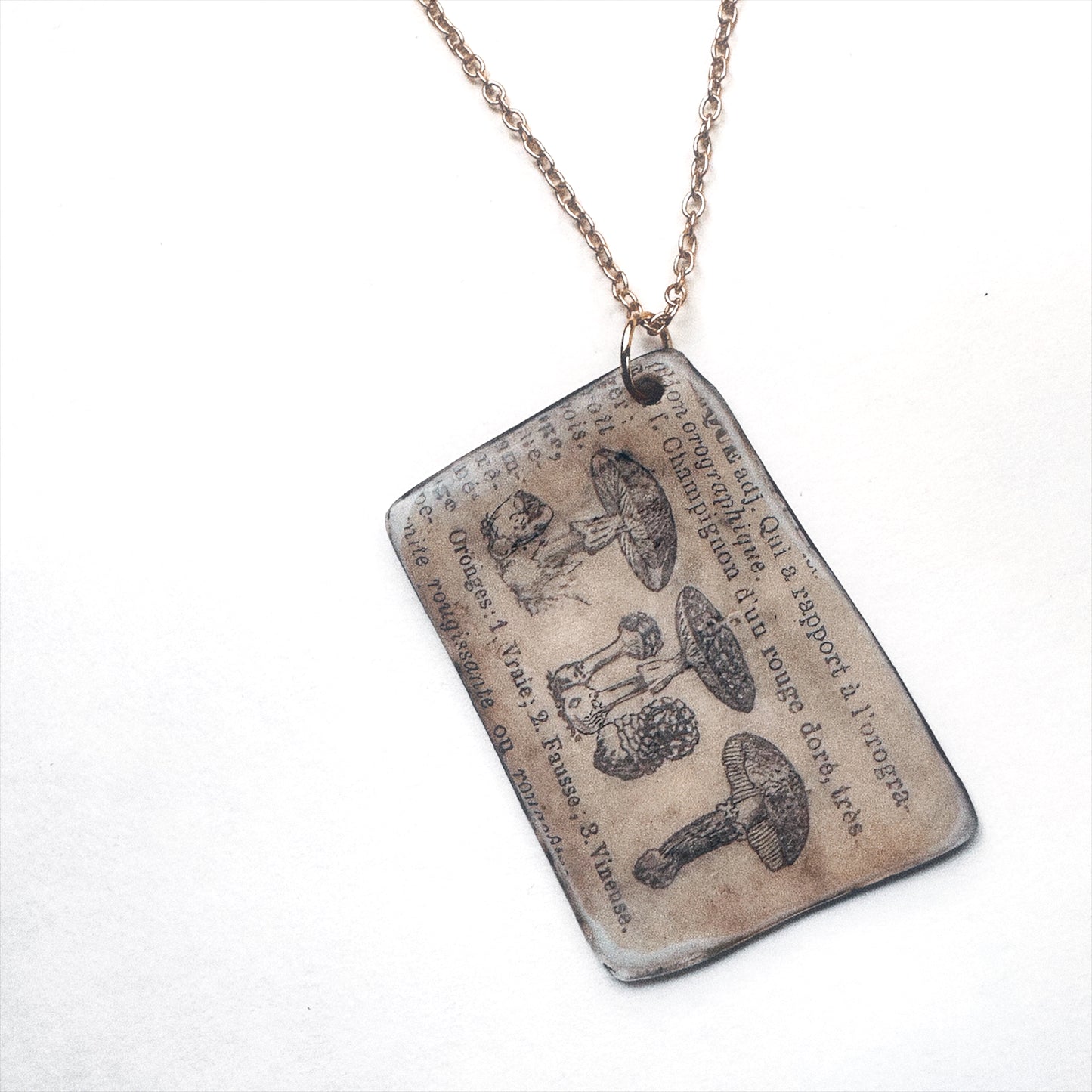 Fungi Codex | Antiqued Botanical Mushroom Pendant
