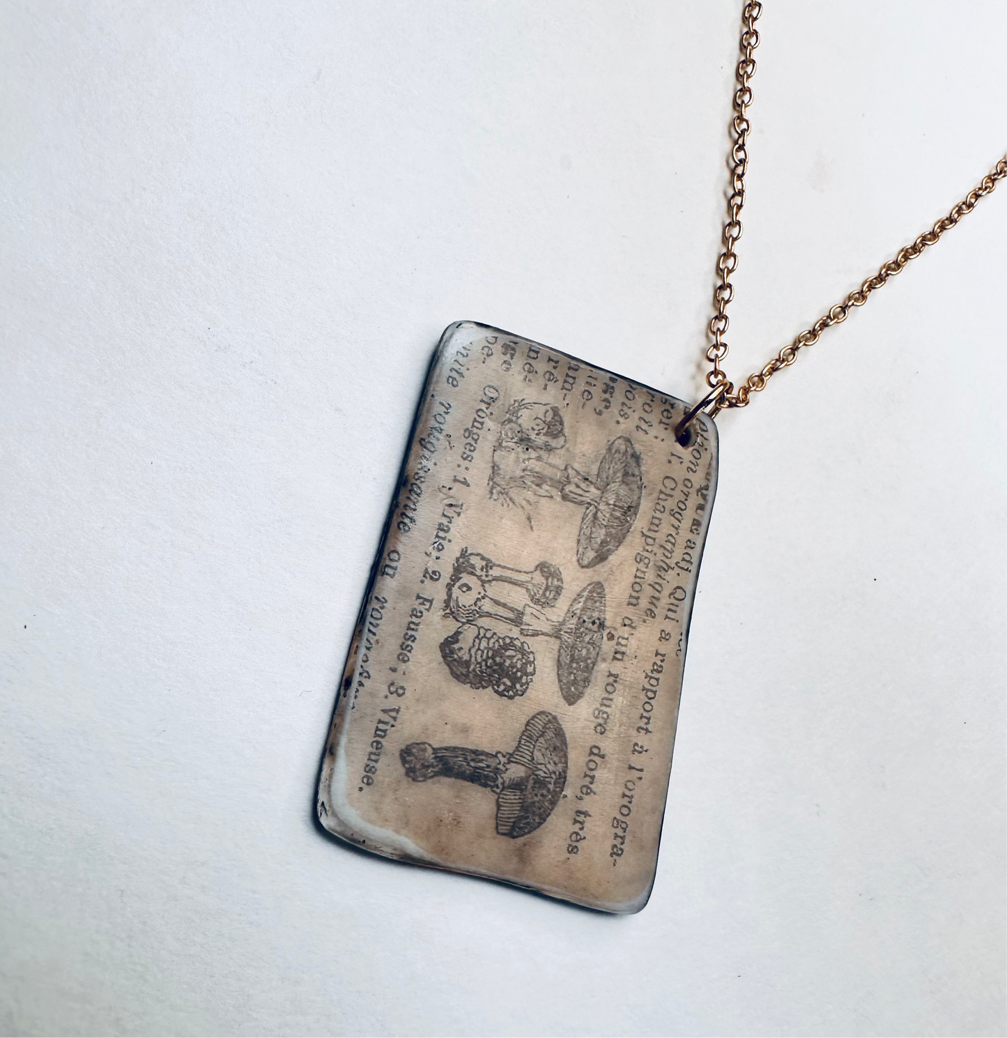 Fungi Codex | Antiqued Botanical Mushroom Pendant