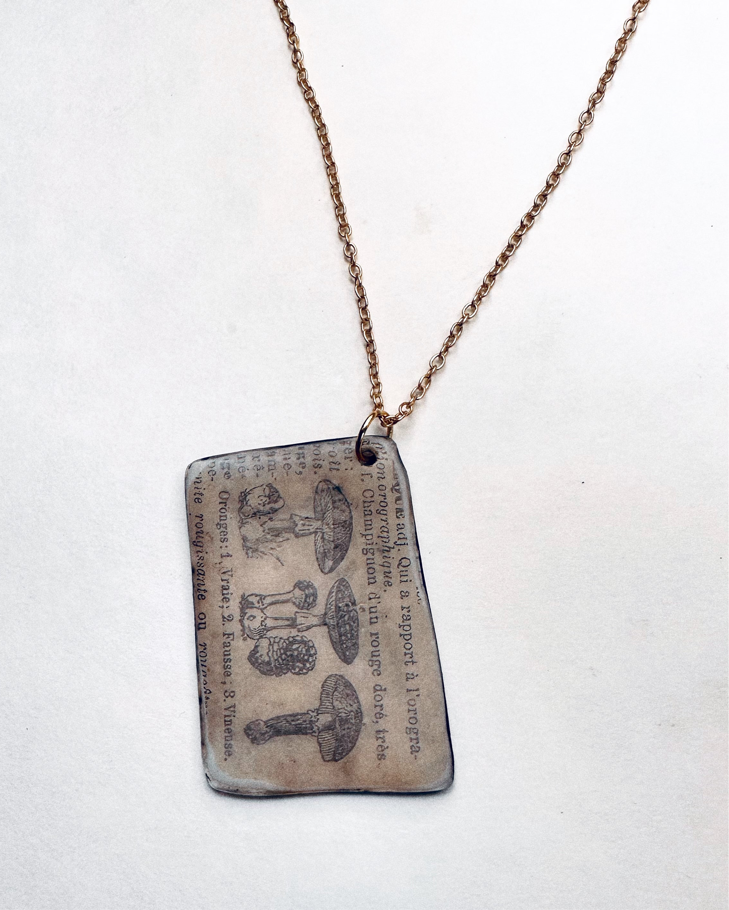 Fungi Codex | Antiqued Botanical Mushroom Pendant