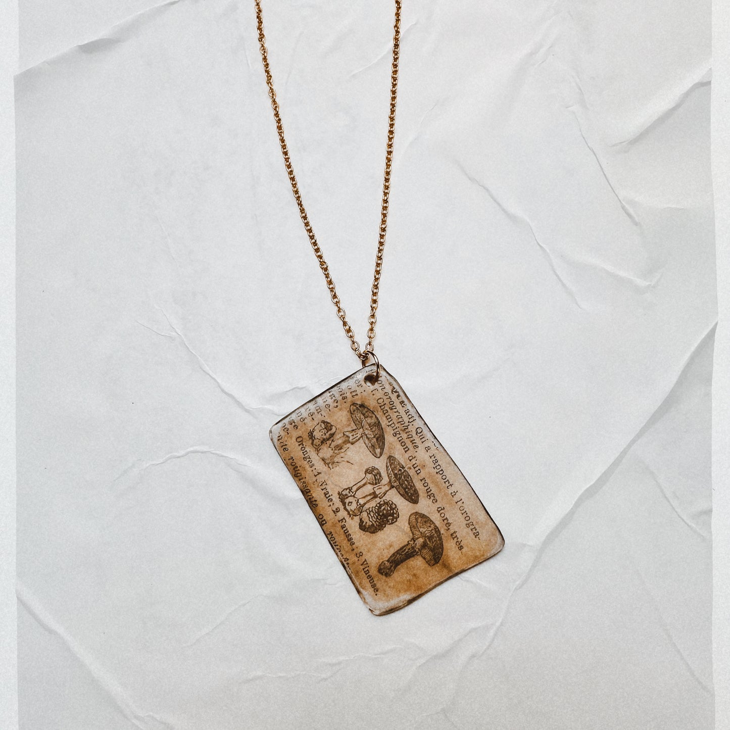 Fungi Codex | Antiqued Botanical Mushroom Pendant